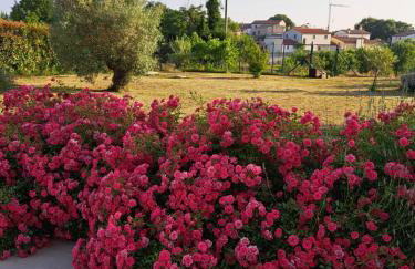 Kuća Roža - Dolinci - Foto 12