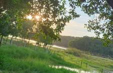 Nosso Cantinho Delfinópolis Serra da Canastra - Photo 29