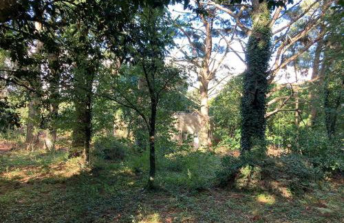 Site exceptionnel accès mer grands espaces - Foto 47