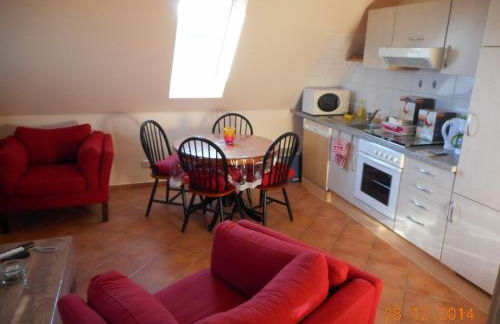 Sonnenblume - Foto 1