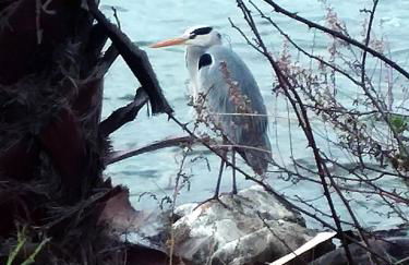 La casa tra i laghi - Foto 69
