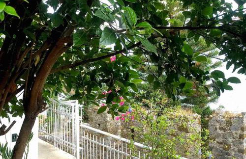 Sideroporta castle Náfpaktos - Foto 60