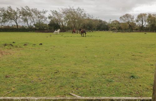 Bron Gadair - Foto 21