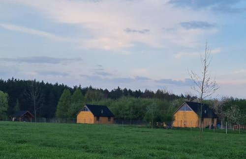 Przyjazna zagroda leśne runo - Foto 3