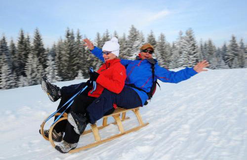 Mein Chalet - Foto 26