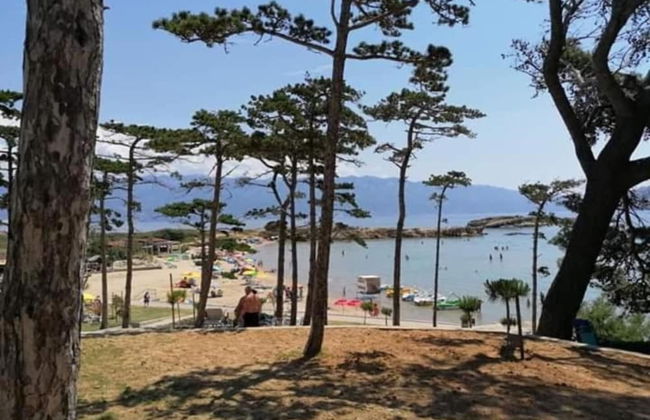 Damir - Free Parking & BBQ - A3 - Foto 12