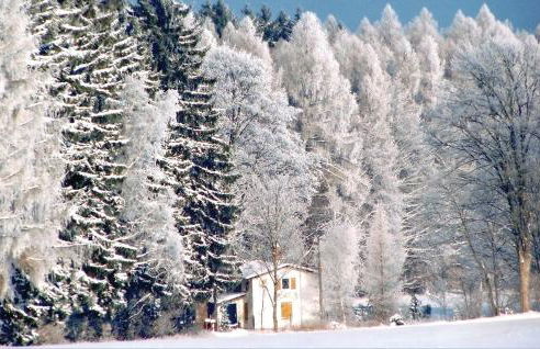 Ferienhaus Am Trieberweg S - Foto 9