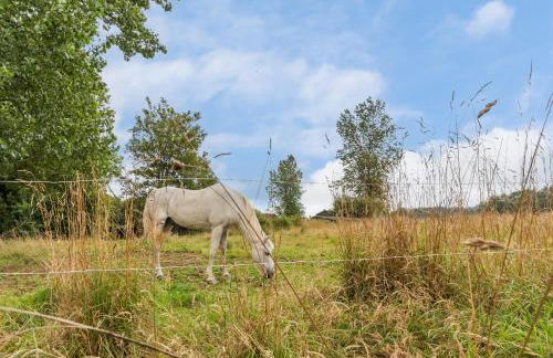 Gîte de Kerduraison - Maison avec grand jardin - Foto 23
