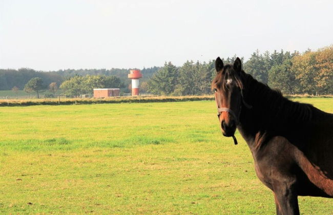 Westerheide Modern Retreat - Foto 16