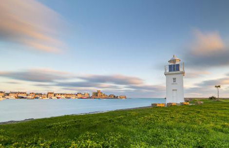 Le paille en queue - Foto 30