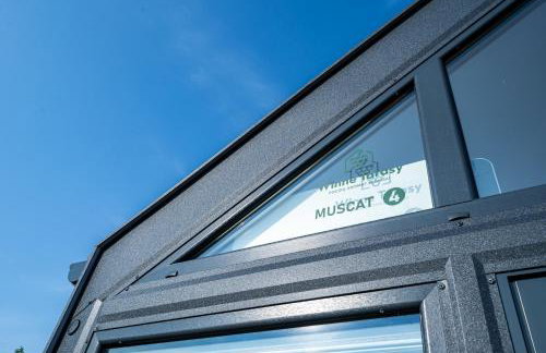 Domki Winne Tarasy - Foto 44