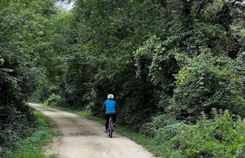 Three Kings and A Little Bling - Foto 37