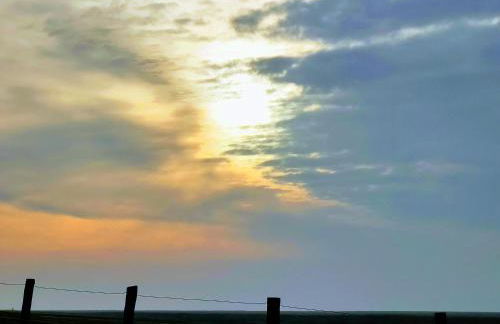 Ferienkate Kap Eiderstedt - Foto 2