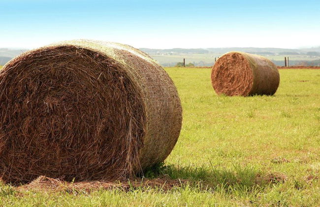 Chalet in Oignies Near French Border - Photo 24