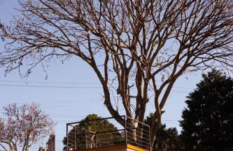 Villa Alpina - Cabanas Conceito - Vale dos Vinhedos - Foto 35