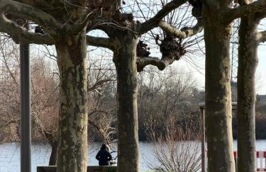 Art and Elegance, Family Friendly 2Bedroom Apartment near Frankfurt Airport, Free Parking - Foto 35