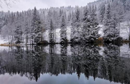 Small and Cozy Apartment in Frauenwald near Forest - Foto 42