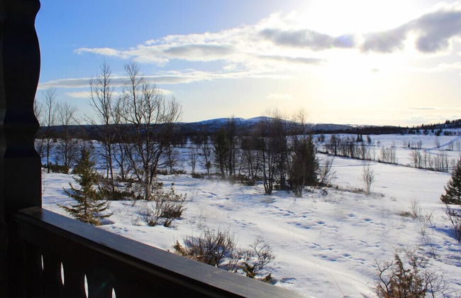 Kvitebjørn Cabin - Ål - Foto 23