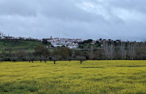 Solar Verbena - Foto 21