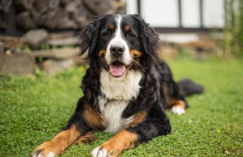 Ferienhof Bieke - Foto 7