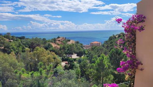 Seaview house, close Cannes, pool, garden. garage - Foto 4