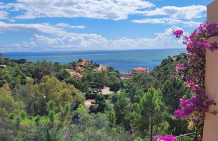 Seaview house, close Cannes, pool, garden. garage - Foto 4