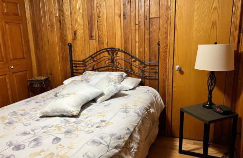 Stay In Ohiopyle near everything including the trail, Ohiopyle PA - Foto 19