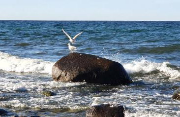 Ferienresidenz Kap Arkona - Whn. 15 - - Foto 17