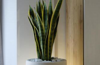 Casa di Noah - Foto 20