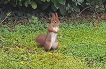 Tolstov House - 6 Room Villa with Garden - 15 Min Messe DUS & Airport DUS - Photo 66