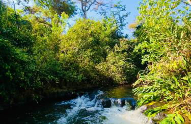 Pousada Rio Gouveia - Foto 77