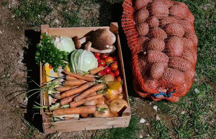 Forestside House Gacka with relax area - Foto 21