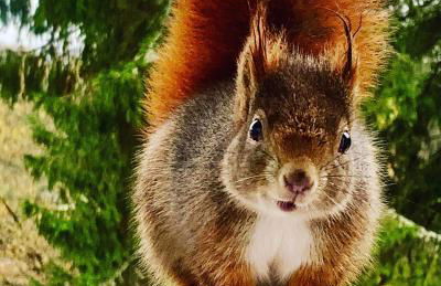 Studio Hase Saig - Photo 33