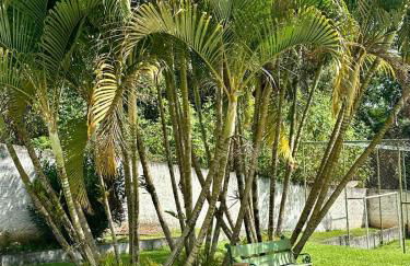 Chácara Primor - Com piscina, campo de futebol e churrasqueira - Conforto completo - Photo 39