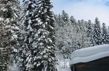 L'étable du Vercors - Foto 41
