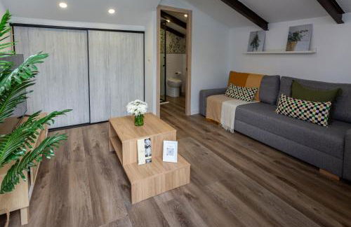 El Carmen Valencia, apartamento estudio con terraza - Photo 1