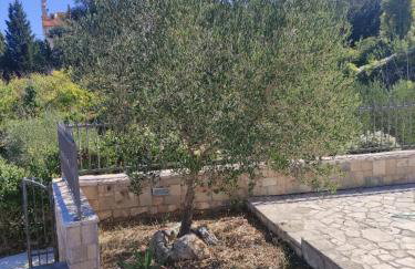 Villa Anja - Foto 33