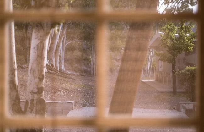 Bosque Divino Cabañas & Suites - Foto 49