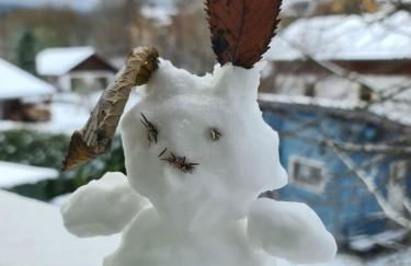 Ferienwohnung Waldbach - Foto 14