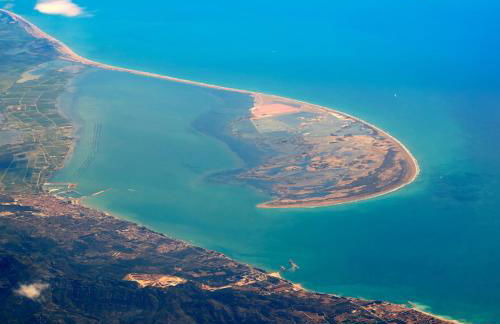 LA PAU DEL DELTA - Foto 47