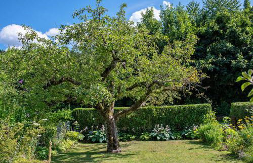 Ferienwohnung Schwalbennest - Foto 29