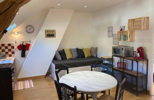 Ô Montrichard climatisé Zoo Beauval Chateau - Foto 12