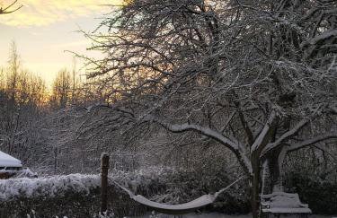 Ogród Shinrin Yoku (Haru) Odpoczynek w Lesie - Foto 16