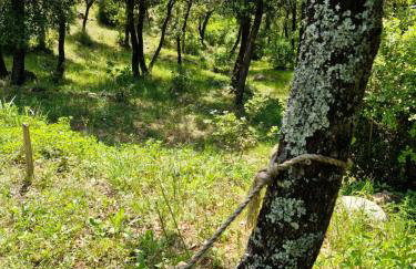 les gîtes du Mas ANNA - Foto 29