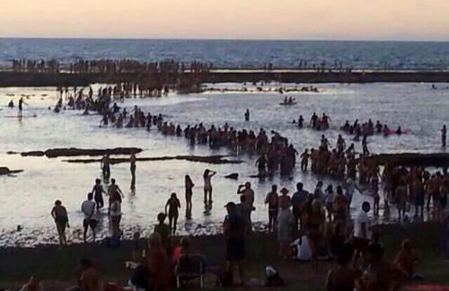 Gáldar PENTHOUSE OVER THE SEA! - Photo 64