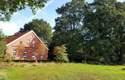 Ruheoase am Wald 35651 - Photo 2