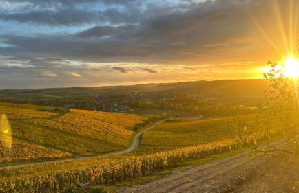 Maison de campagne entre vigne et bois - Foto 33