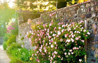 Le Clos de Loré - Foto 15