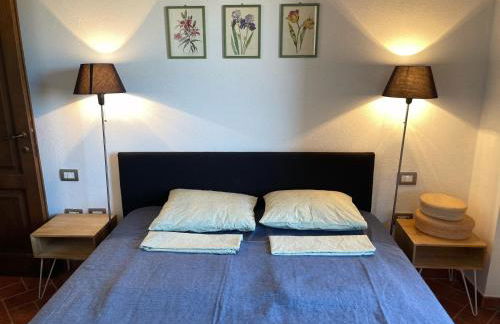 Podere Le Volpaie - Arancia - Foto 24