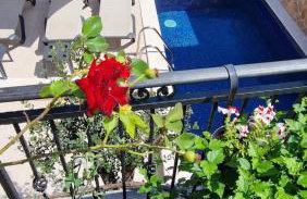 Apartments Ante 2 Hvar center, pool - Photo 1